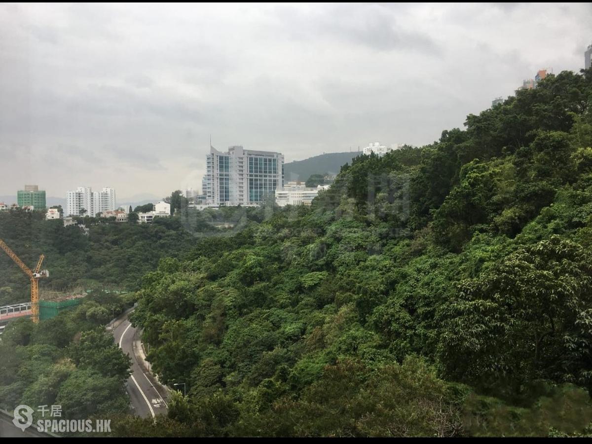 薄扶林 - 碧瑤灣20座 01