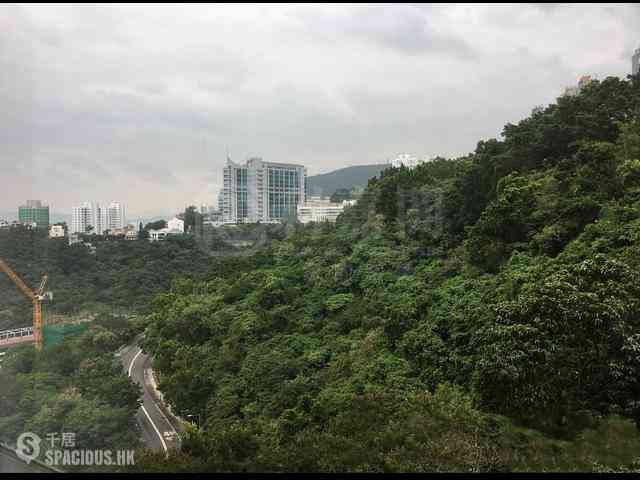 薄扶林 - 碧瑤灣20座 01