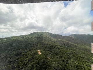 大潭 - 阳明山庄 山景园 10