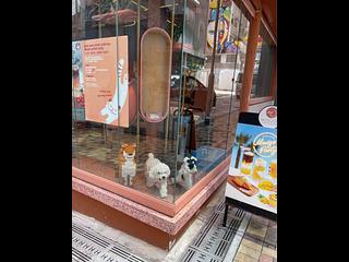 Sai Ying Pun - 21, Sai Yuen Lane 05