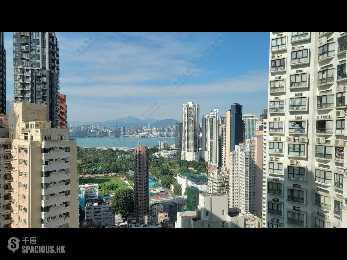 Tai Hang - Y.I 01