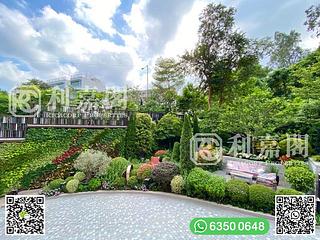 西貢 - 133 Portofino 19