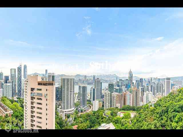 東半山 - 峰景花园 02