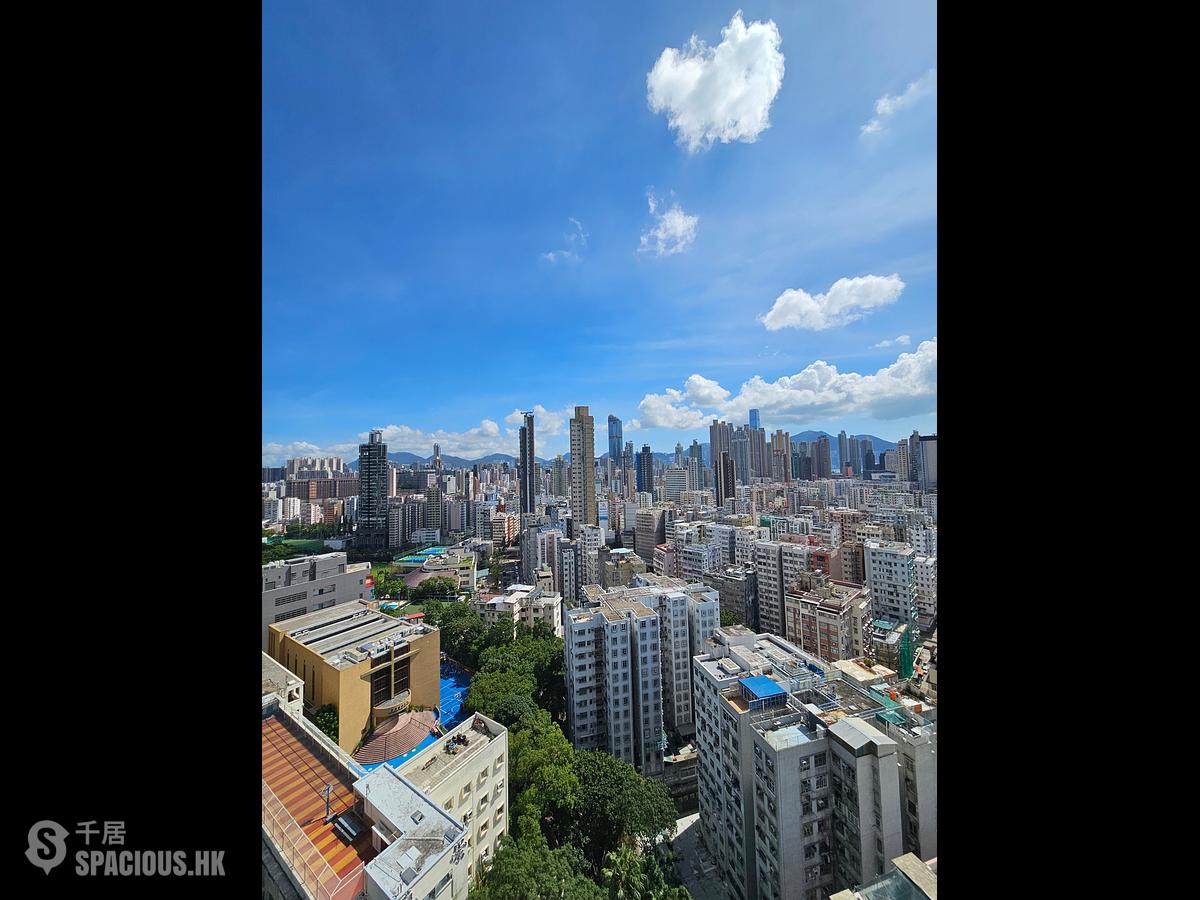 Cheung Sha Wan - The Paddington 01