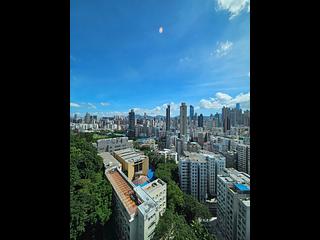 Cheung Sha Wan - The Paddington 03