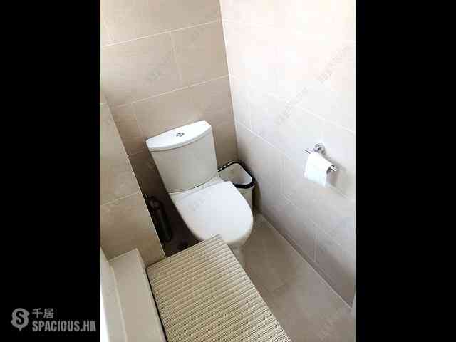 Poho - 43-45, Square Street 05