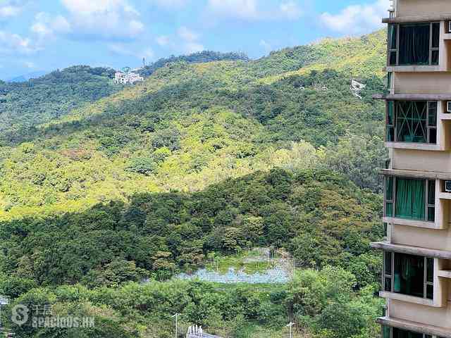 将军澳 - 君傲湾3座 01
