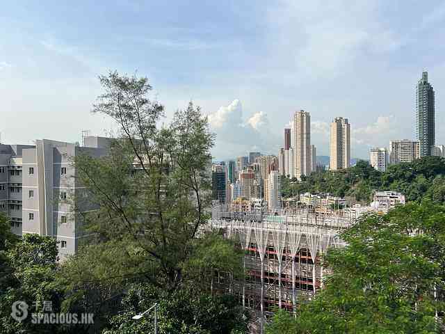 Happy Valley - 141-143, Blue Pool Road 28