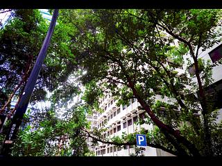 Wan Chai - Sun Hing Mansion 14