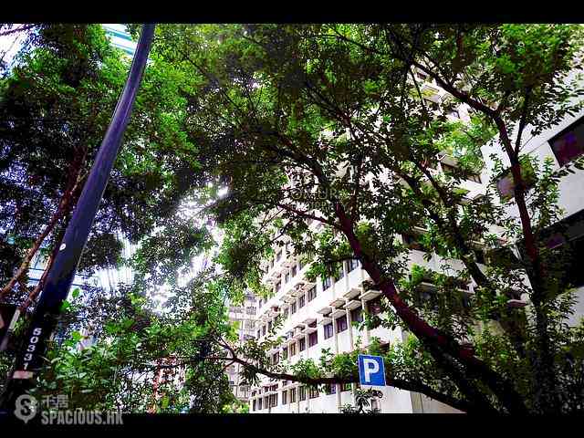 Wan Chai - Sun Hing Mansion 14