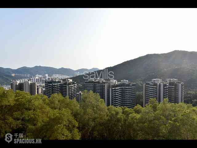 Sha Tin - Le Cap 09