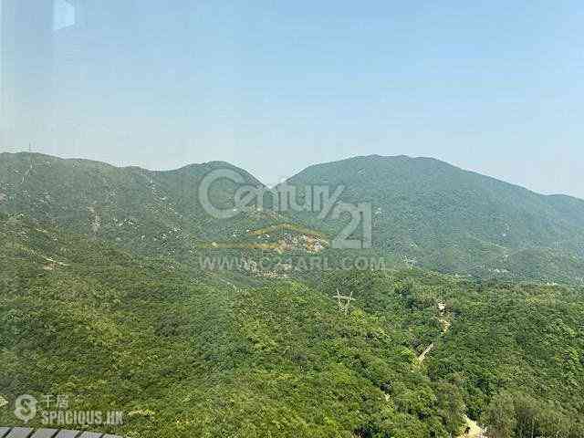 大潭 - 阳明山庄 山景园 08