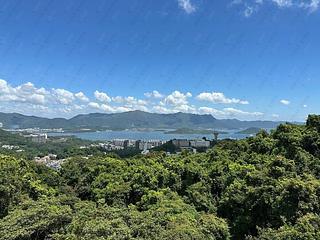 Sha Tin - La Vetta 02