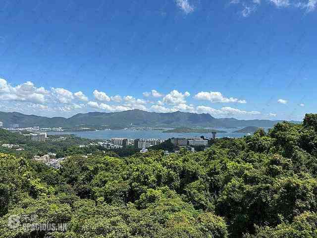 Sha Tin - La Vetta 02