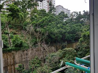 North Point - Fu King Court 06