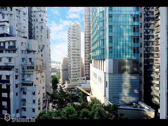 天后 - 龙景花园 29