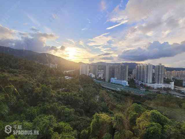 Tai Po - Grand Palisades Block 6 01