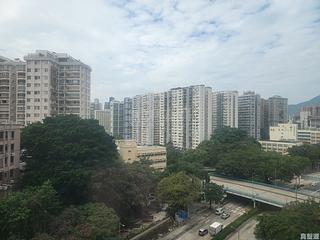 Ho Man Tin - Dragon View 09