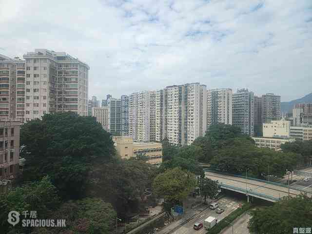 Ho Man Tin - Dragon View 09