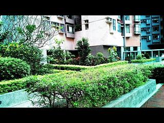 Central - Hollywood Terrace Block A 14