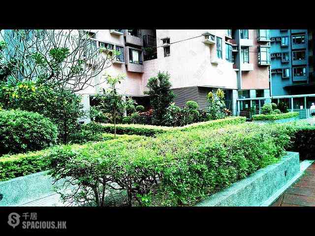 Central - Hollywood Terrace Block A 14