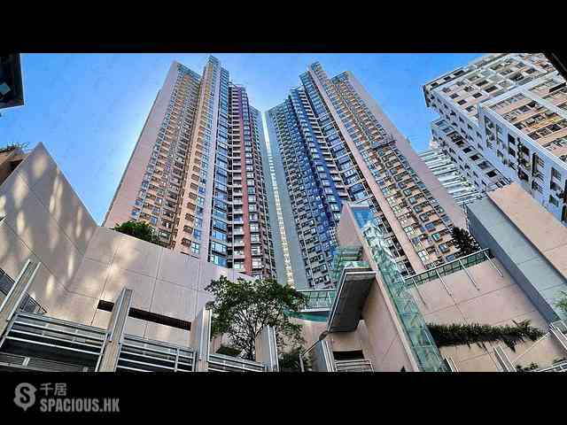 Central - Hollywood Terrace Block A 17