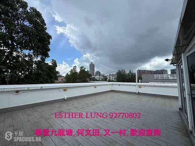 Yau Yat Chuen - Royal Magnolia 01