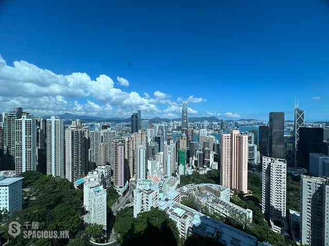 中半山 - 帝景园1座 03