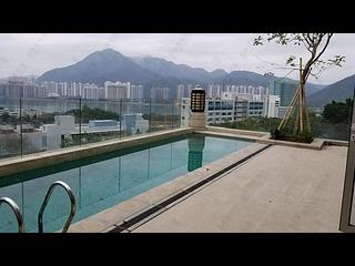 Ma Liu Shui - De Yucca 11