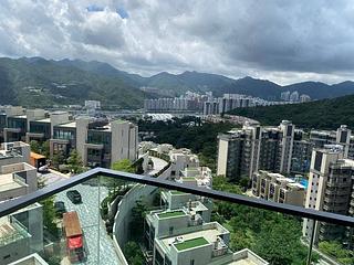 Sha Tin - The Cavaridge 10