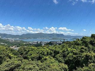 Sha Tin - La Vetta 02