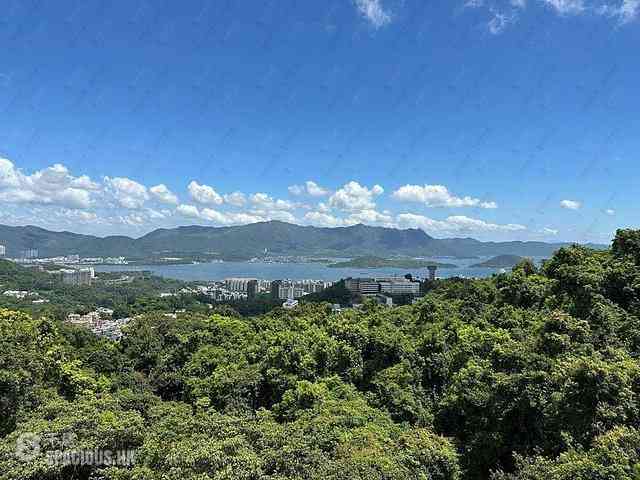 Sha Tin - La Vetta 02