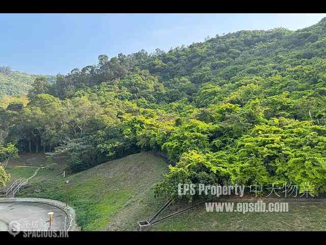 Discovery Bay - Discovery Bay Phase 2 Midvale Village Pine View (Block H1) 12