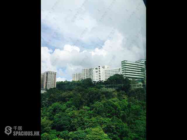 寶馬山 - 珊瑚閣A座 17