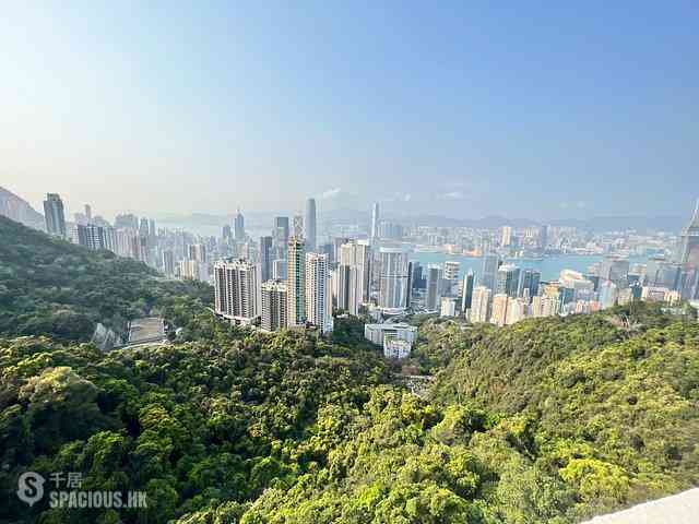 山顶 - 马己仙峡道26号 01