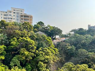 山顶 - 马己仙峡道26号 06