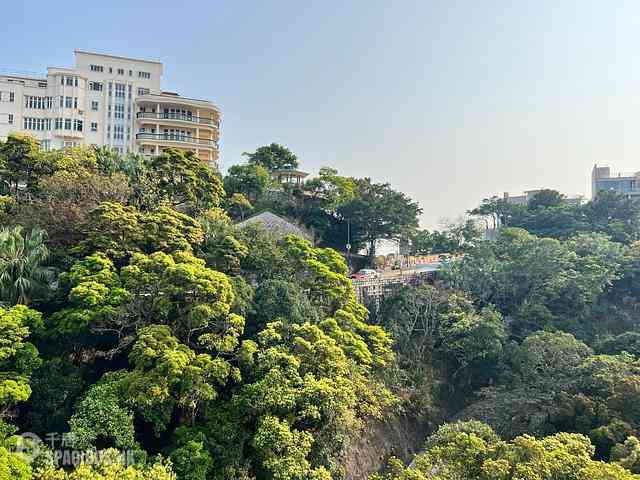 山顶 - 马己仙峡道26号 06