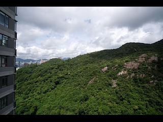 Tai Hang - Serenade Block 2 07