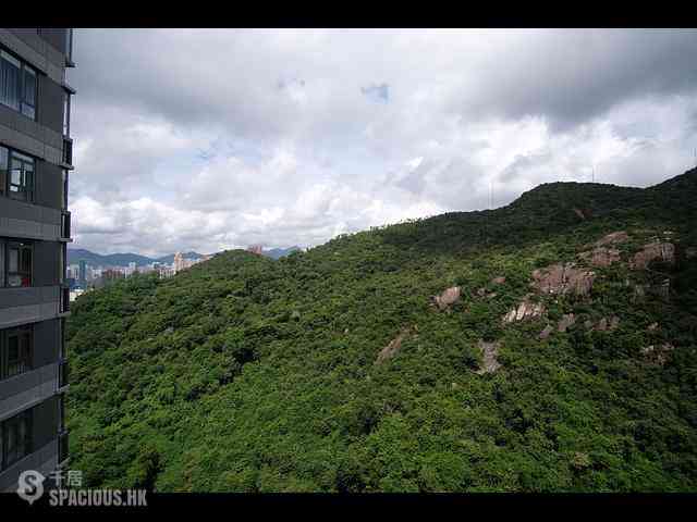 Tai Hang - Serenade Block 2 07