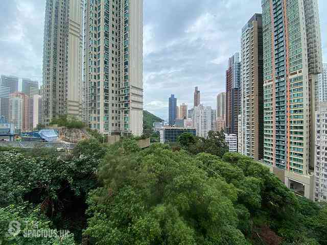 堅尼地城 - 寶樹樓 01