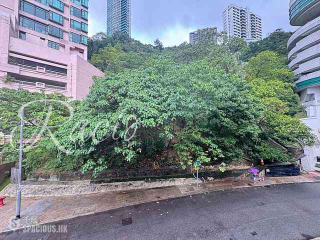 中半山 - 寶雲道6B-6E號 15