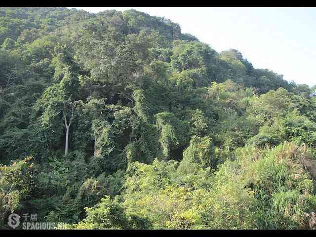 Stubbs Road - Mandarin Villa West Block 06