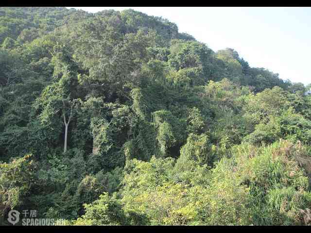 Stubbs Road - Mandarin Villa 01