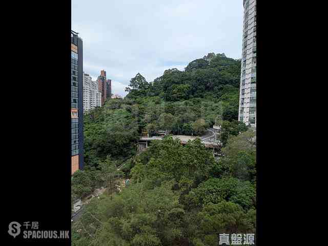 Tai Hang - Dragon Centre Block 1 02