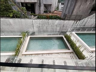 Chung Hom Kok - Magnolia (The Crown Villas) 05