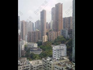 Sai Ying Pun - The Babington 06