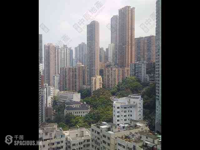 Sai Ying Pun - The Babington 06