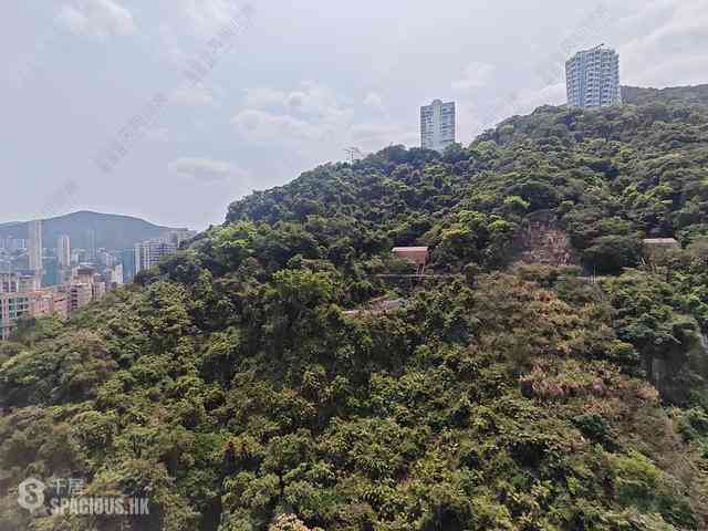 東半山 - 慧景臺B座 09