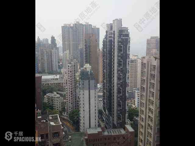 Sai Ying Pun - The Babington 02
