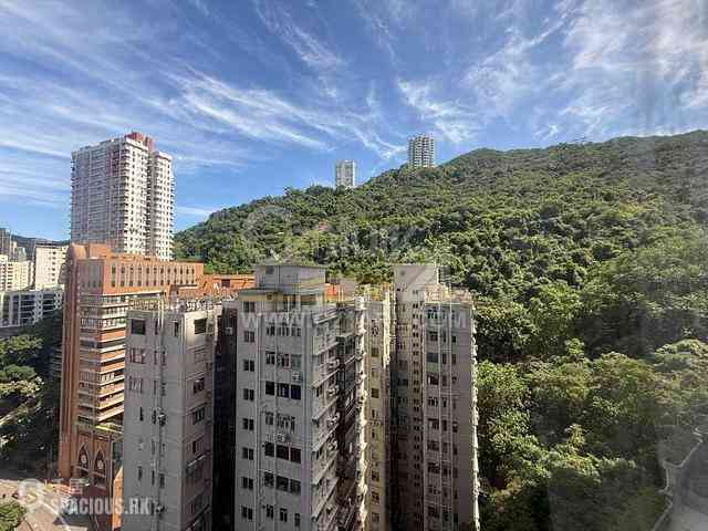 東半山 - 竹林苑78号 01